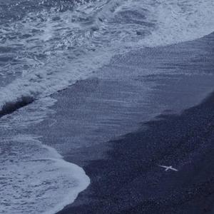 99国产精品久久99久久久
