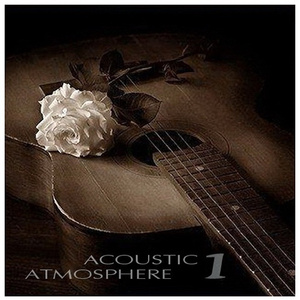 99国产精品久久99久久久
